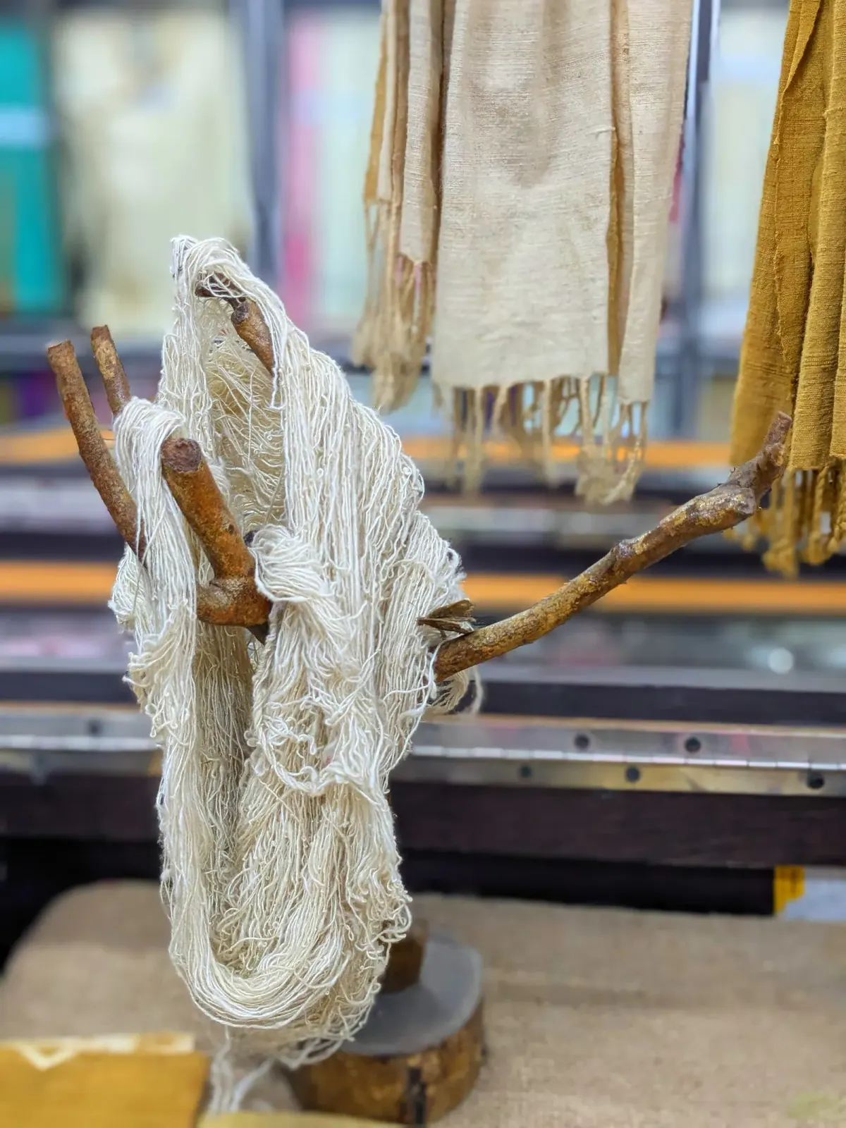 Segulung benang katun berwarna putih gading disampirkan pada ranting kayu, dengan selendang tenun krem dan kuning tergantung di latar belakang.